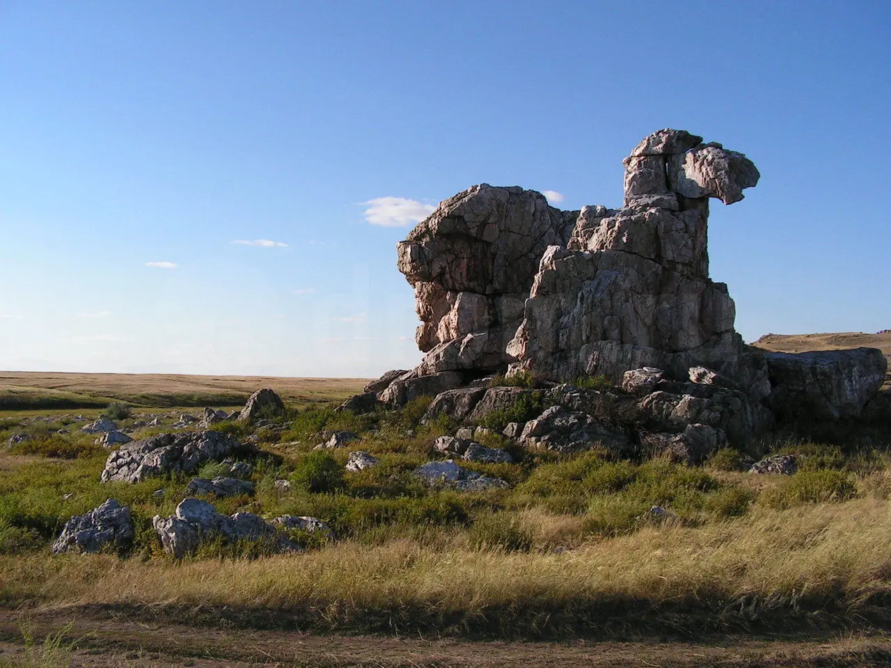 Скала верблюд Оренбургская область